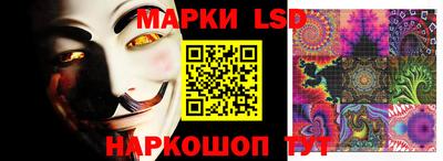 скорость Заводоуковск