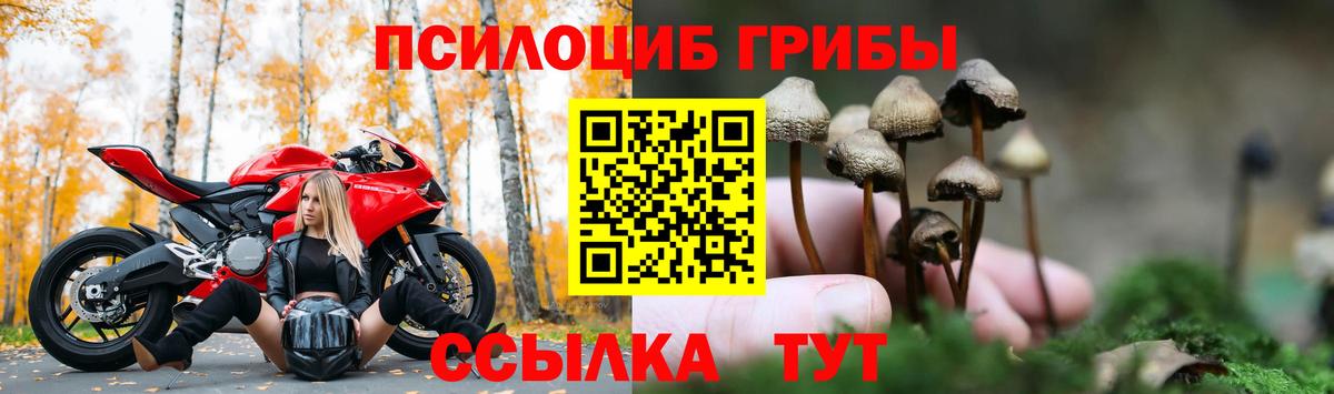 Псилоцибиновые грибы Magic Shrooms  Псилоцибиновые грибы Cubensis  Нефтекамск  Вход с VPN 